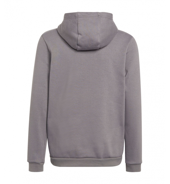 adidas Παιδικό Φούτερ Με Κουκούλα Fw22 Entrada 22 Sweat Hoodie H57515