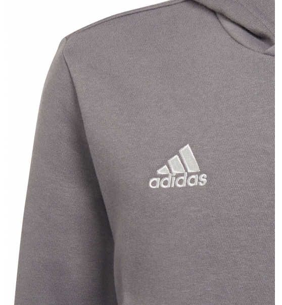 Adidas Fw22 Entrada 22 Sweat Hoodie H57515
