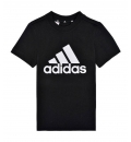 Adidas Fw22 Essentials T-Shirt Gn3999