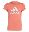 Adidas Ss23 Essentials Big Logo Cotton T-Shirt Ic6125