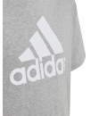 Adidas Ss23 Essentials Big Logo Cotton T-Shirt Hr6379
