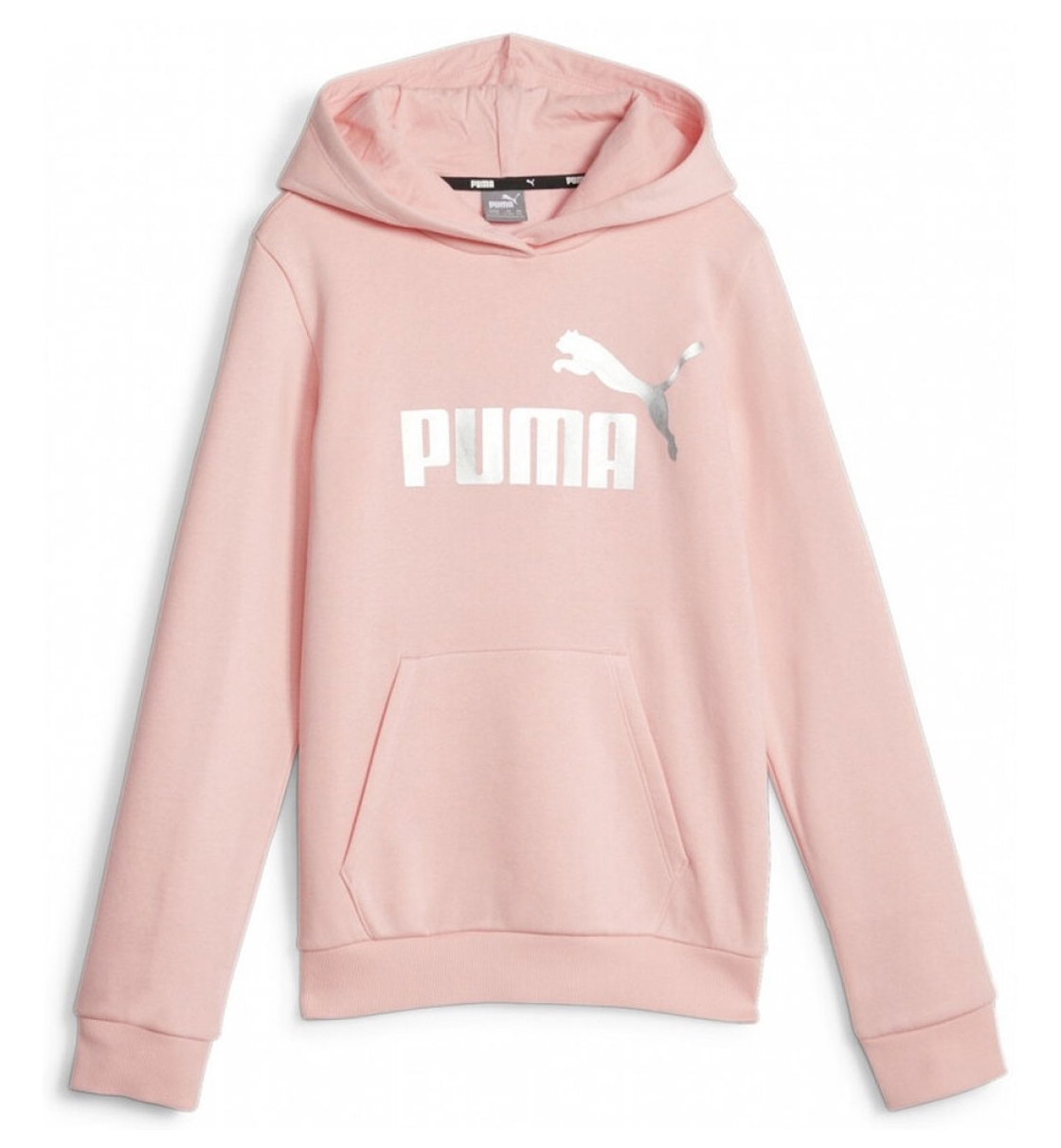 Puma Fw22 Ess+ Logo Hoodie Fl G 670310