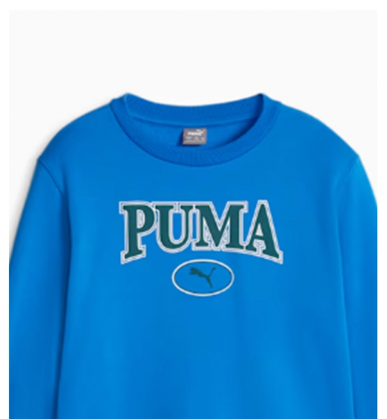 Puma Fw22 Squad Youth Sweatshirt 676355