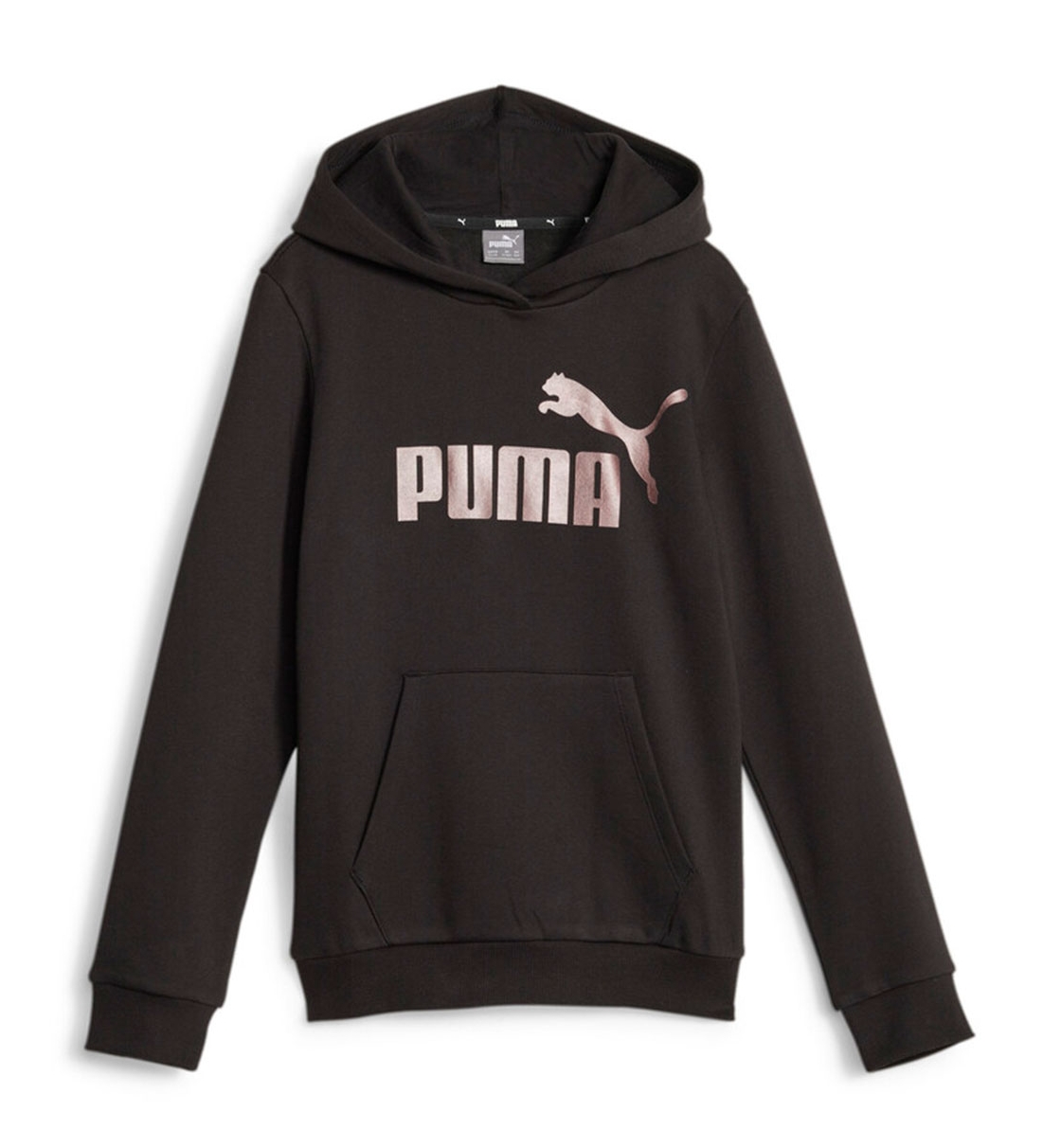 Puma Fw22 Ess+ Logo Hoodie Fl G 670310