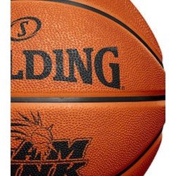 Spalding Fw21 Decal Slam Dunk