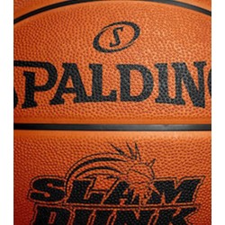 Spalding Fw21 Decal Slam Dunk