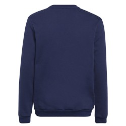 adidas Παιδική Μακρυμάνικη Μπλούζα Fw22 Entrada 22 Sweatshirt H57568