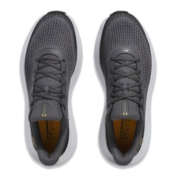 Under Armour Ανδρικό Παπούτσι Running Ss24 Charged Rogue 5 3028256
