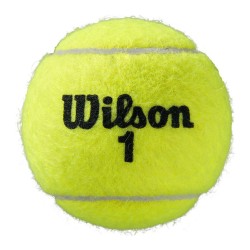 Wilson Μπαλάκια Tennis Fw21 Roland Garros All Ct 4 Ball WRT116400