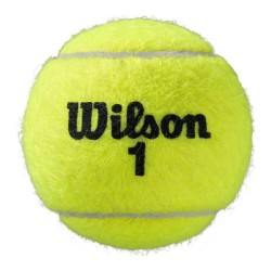 Wilson Μπαλάκια Tennis Fw19 Wrt126400 Roland Garros All Ct 3 Ball WRT126400