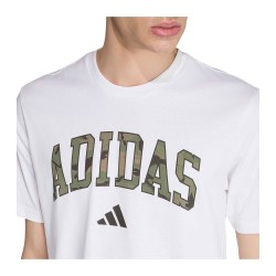 Adidas Ss25 M Camo Script T Kc7167