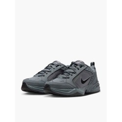 Nike Fw23 Air Monarch Iv 415445
